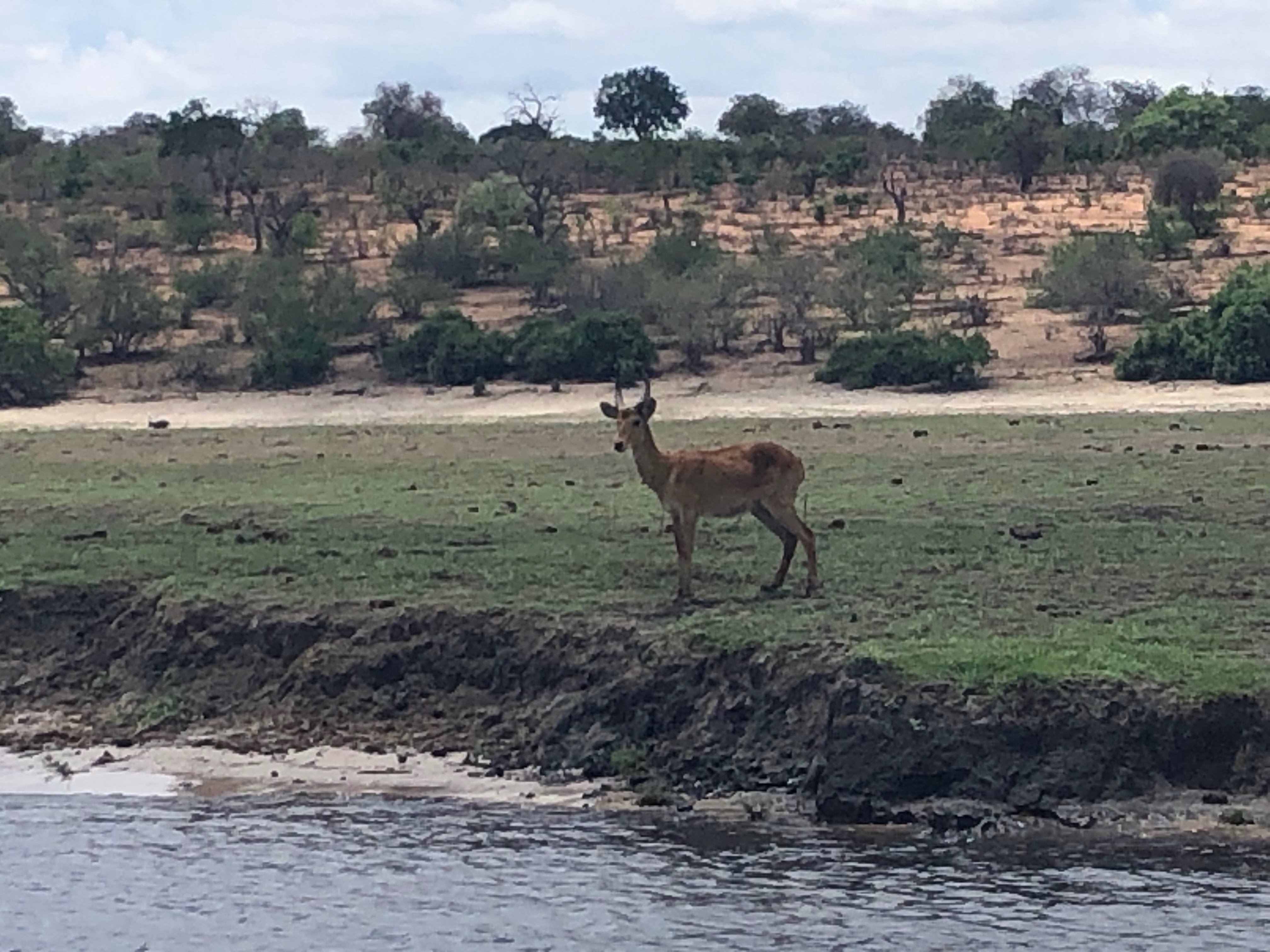 Botswana Chobe National Park