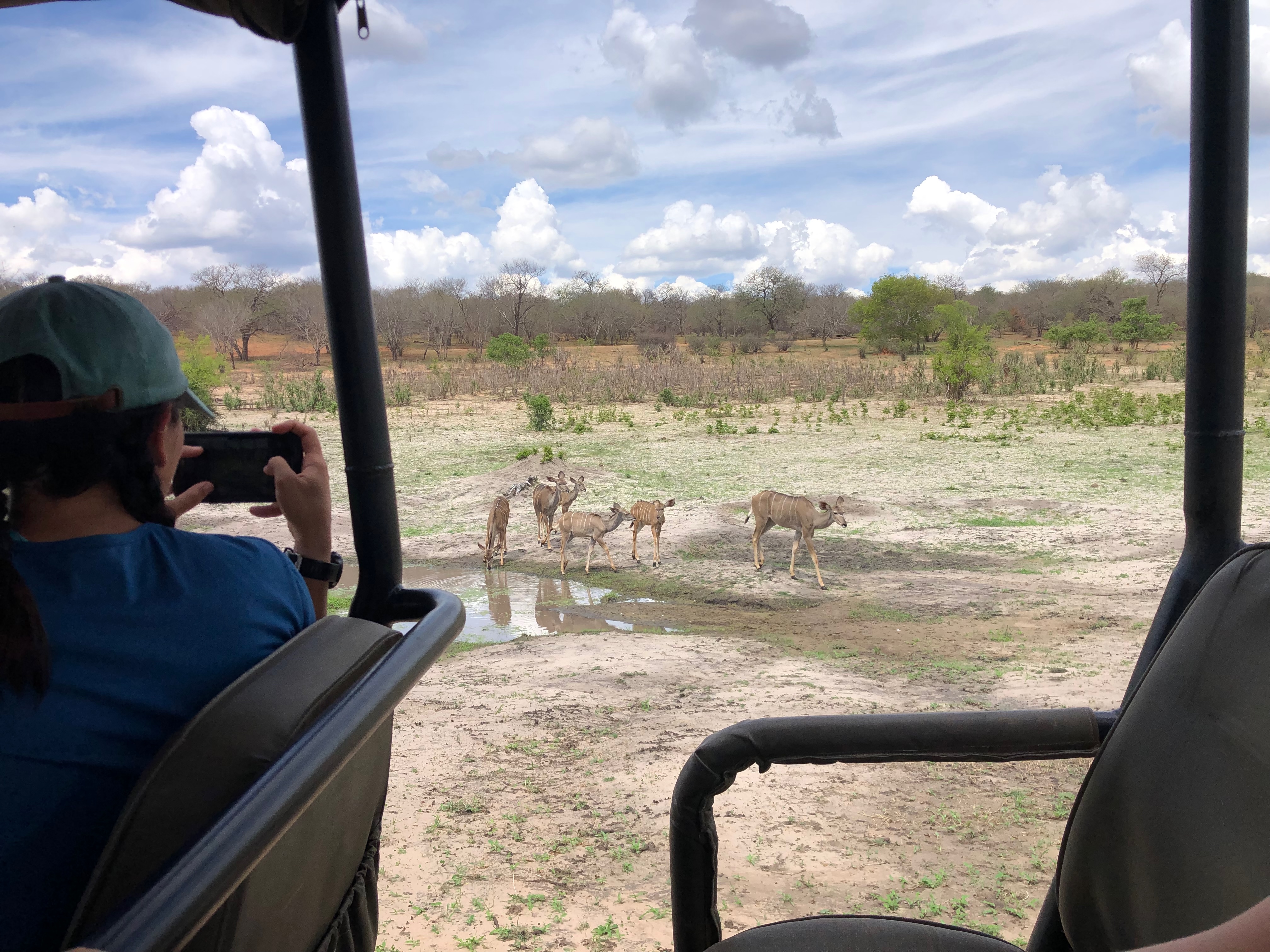 watering_hole