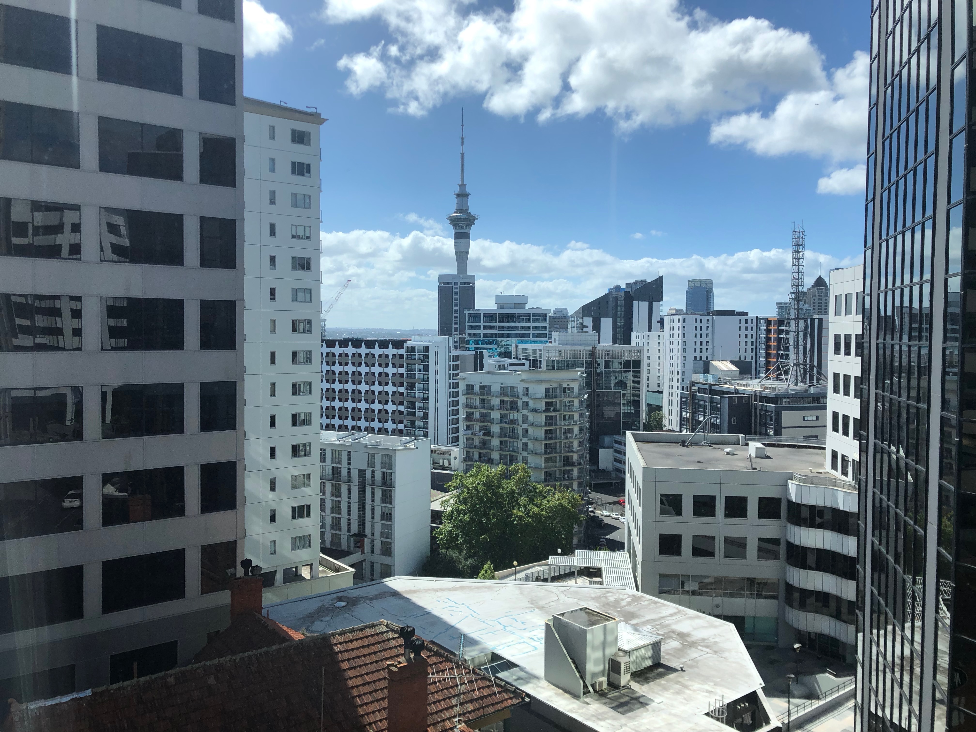 auckland