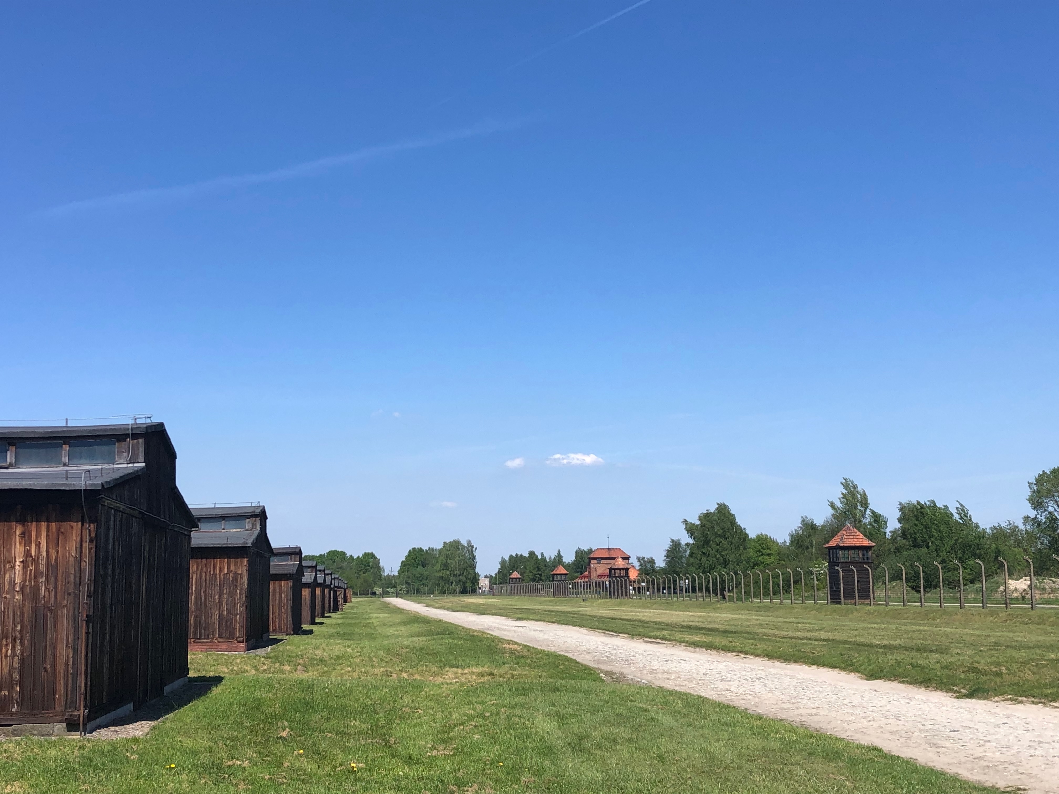 birkenau4